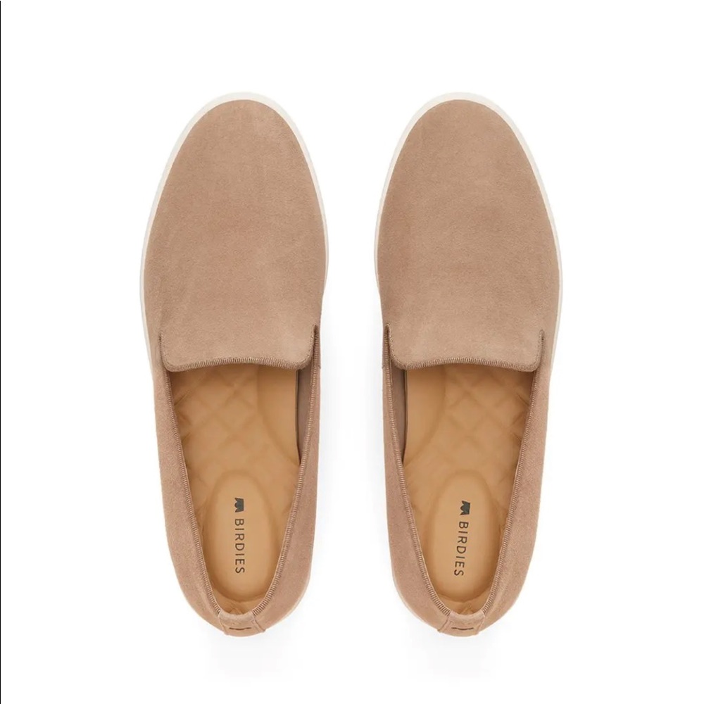 Birdies Sneakers | The Swift | Shell